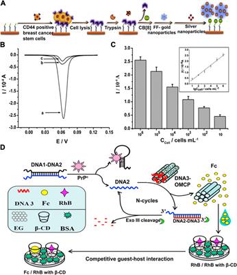 Evolution of Supramolecular Systems Towards Next-Generation Biosensors